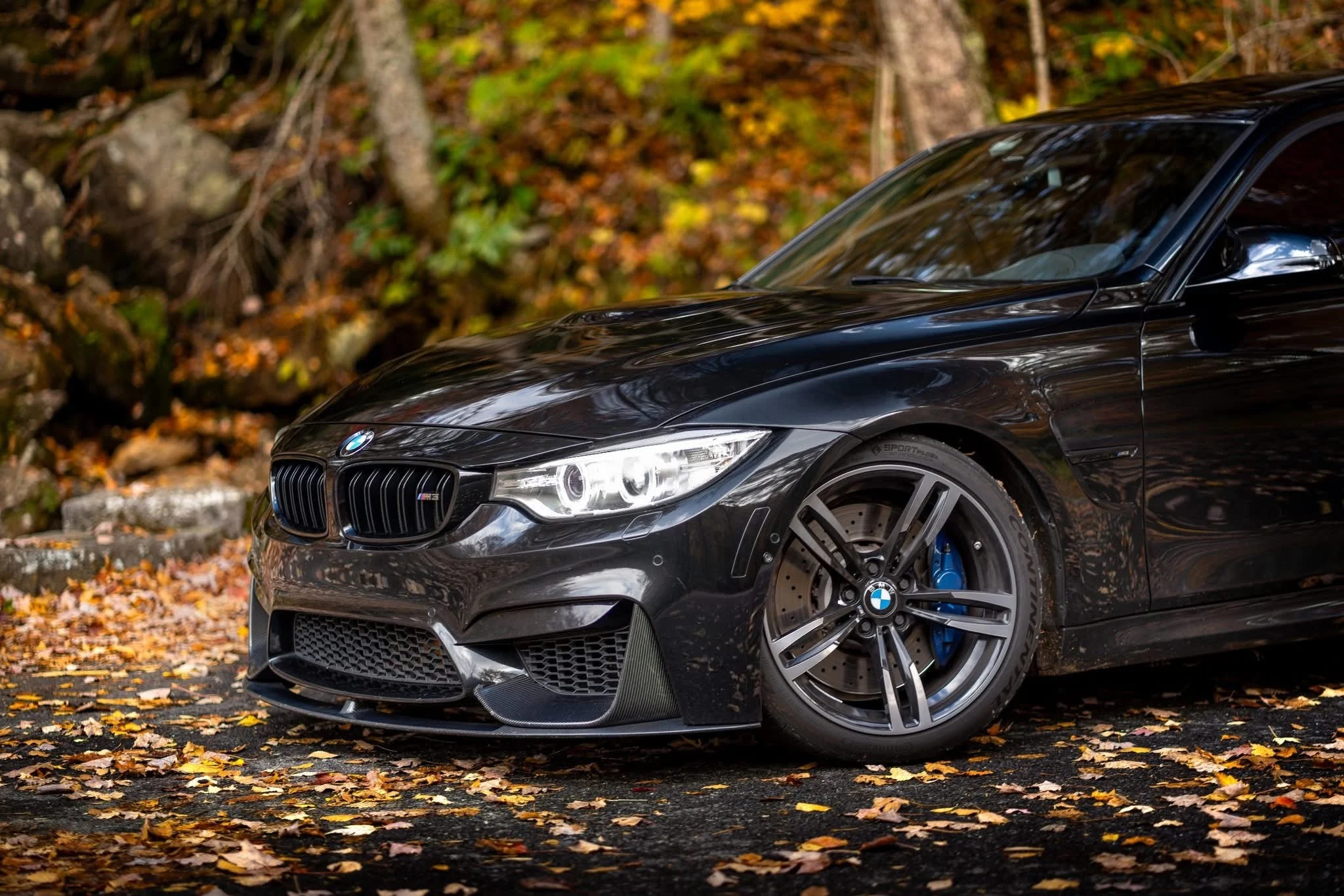 M Performance Carbon Fiber Front Lip w/ Canard - BMW F80 M3 & F82 / F83 M4