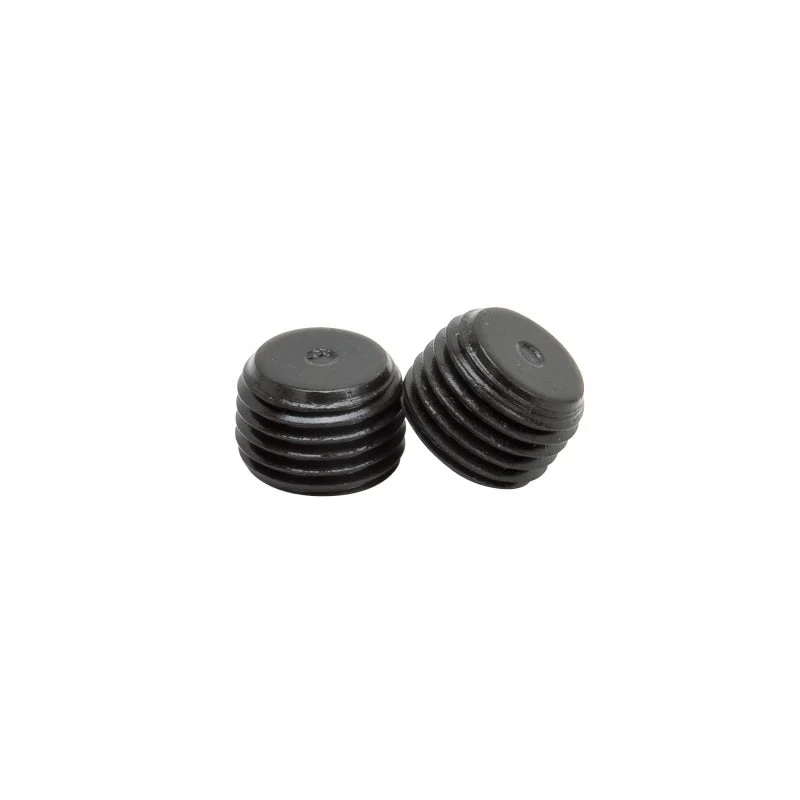 Edelbrock 1/4 Pipe Plug 1Pr
