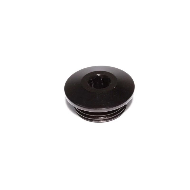 Edelbrock ALUMINUM PORT PLUG, -12AN